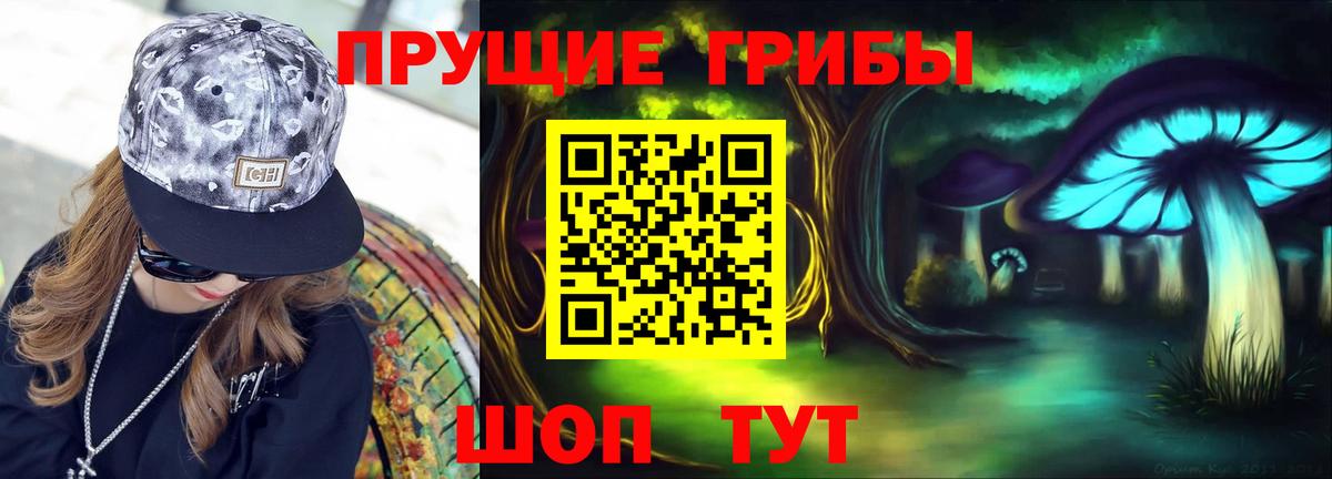 Галлюциногенные грибы Psilocybine cubensis Гусиноозёрск