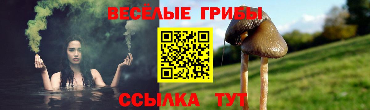 Гусиноозёрск  Галлюциногенные грибы ЛСД  Вход с VPN 